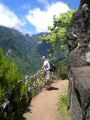 Madeira0802.JPG